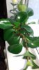 20171117_135329.jpg