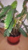 20171120_114101.jpg