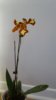 20171127_141834.jpg