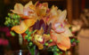 Orchid_Bouquets_Callas_496460_1280x800.jpg