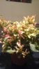 20171207_003729.jpg