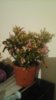 20171207_003638.jpg