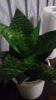 20171210_195211.jpg