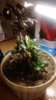 IMAG0031.jpg