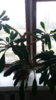 20171214_123209.jpg