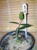 IMG_20171223_094737.jpg