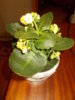 DSCN4803.JPG