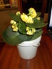 DSCN4804.JPG