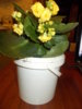 DSCN4805.JPG