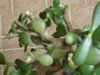 DSCN1613.JPG