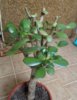DSCN1614.JPG