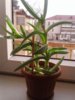 20180128_155946.jpg