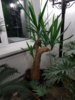 20180213_213618.jpg