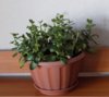 DSCN1630.JPG