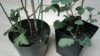 20180225_093238.jpg