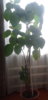 20180228_104553.jpg