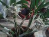 20180226_075651.jpg