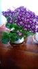 IMG-20180306-WA0000.jpg