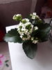 20180307_114938.jpg