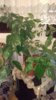 E271F7ED-7D30-4A53-A464-7BE9CAE33653.jpeg