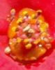 upload_2018-3-12_18-5-13.png