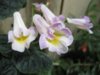 sized_IMG_9135.jpg
