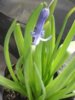 20180316_112521.jpg