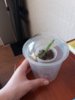 20180328_143244.jpg