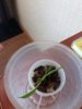 20180328_143253.jpg