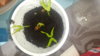 20180407_093413.jpg