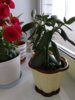 IMG_20180410_093951.jpg