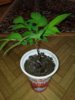 IMG_20180419_114611.jpg