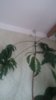 20180415_105849.jpg