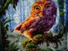20180405_195839.jpg