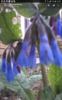 Screenshot_2018-04-21-12-40-58.png
