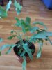 IMG_20180421_180256.jpg