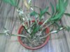 20180424_221754.jpg
