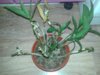20180424_221818.jpg