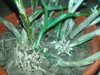 20180424_221828.jpg