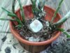 20180424_233247.jpg
