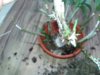20180424_233625.jpg