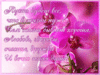 16182099.gif