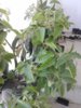 20180502_114608.jpg