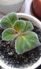 20180505_072738.jpg