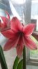 20180506_103537.jpg
