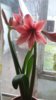 20180506_103551.jpg
