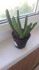 20180509_083532.jpg