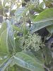 20180510_115114.jpg
