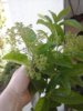 20180510_115102.jpg