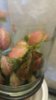 20180516_185143.jpg
